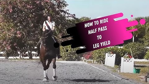 How To Ride Half Pass To Leg Yield By Dressage Hub