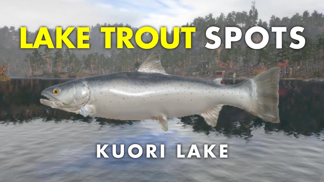 Russian Fishing 4 LAKE TROUT SPOT Kuori Lake YouTube