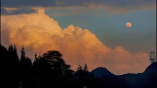 Where We Are ~ One Direction // Lyrick Tiktok Version