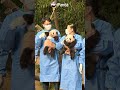 The Panda Twins Hui Bao And Rui Bao Made Their Public Debut Today | iPanda #shorts