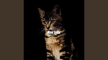 Sumptuous Backdrops for Chilling the Details