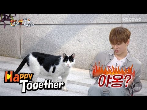 Vernon Channels Byun Hee Bong Perfectly!! [Happy Together Ep 533]