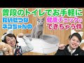 普段のトイレで大切な【ネコちゃん】の健康チェックができちゃう件