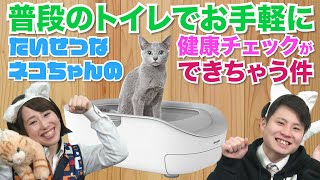 普段のトイレで大切な【ネコちゃん】の健康チェックができちゃう件