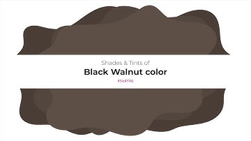 Shades & Tints of Black Walnut color #5e4f46 A Warm Brown color #53463e #493d36 #6f625a #81766f