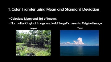 Ip Hei Man - Color Transfer Between Images