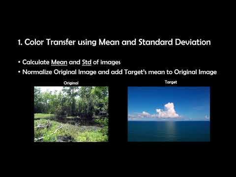 Ip Hei Man - Color Transfer Between Images