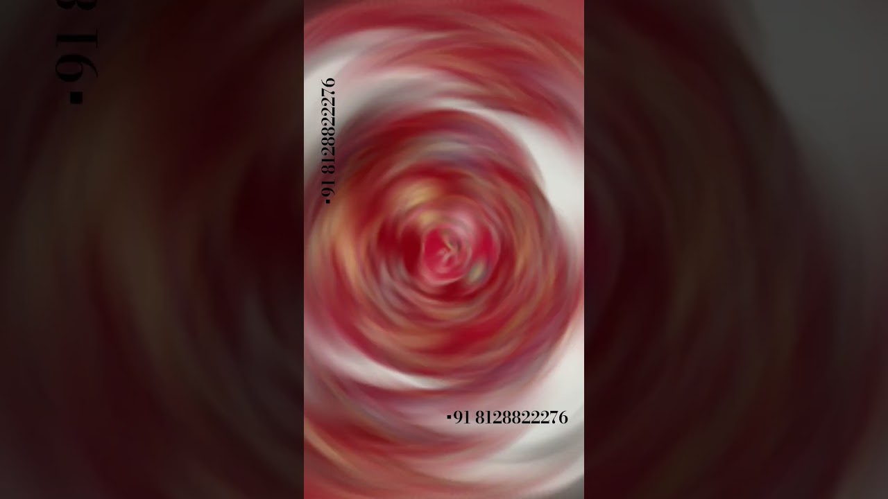 Contact For Bulk Order...   