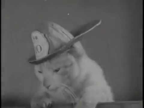 1936 Minneapolis Fire Cat