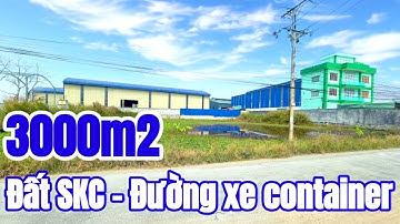 Bán 3000m2 đất sản xuất kinh doanh mặt tiền 60m, tại xã Tân Bửu huyện Bến Lức