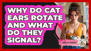 Why Do Cat Ears Rotate And What Do They Signal? - Happy Cat Handbook