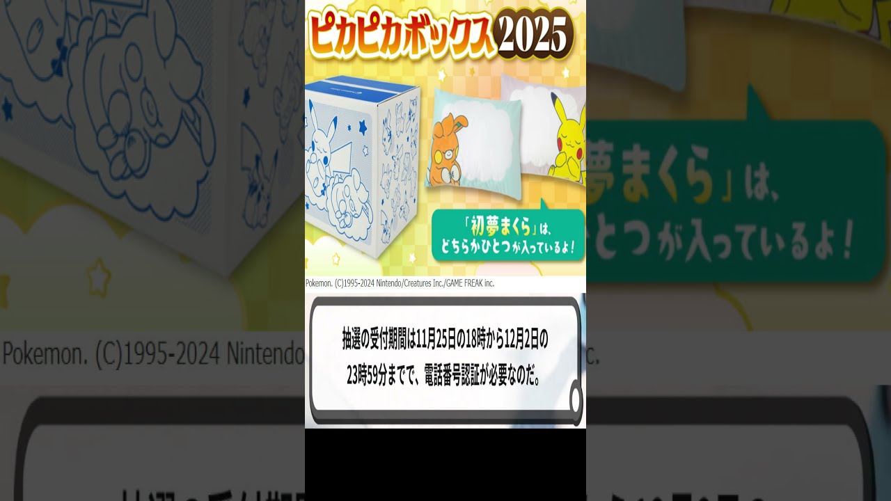 ポケモン - ピカピカボックス　2025 福袋　ポケモン ポケモンセンターの福袋『ピカピカボックス2025』の抽選販売受付