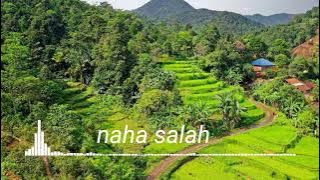 Doal sumbang - naha salah.mp3