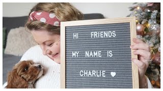 Celebrity MEET OUR NEW CAVAPOO PUPPY 🐶 Wealth