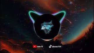 zavier TZ ft. DJ emang enak x stereo love fast slowed [oficial vidio]