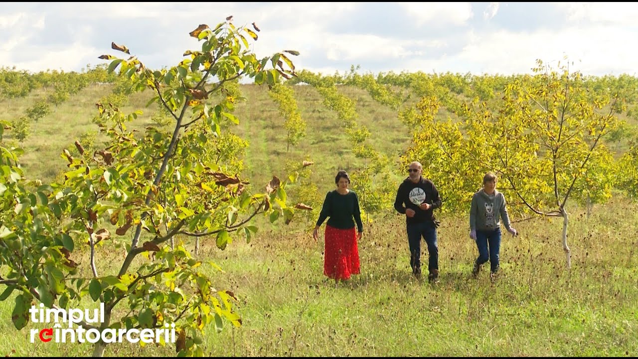 Timpul reîntoarcerii. Reîntoarcerea ne-a adus pace sufletească (17 10 2022)