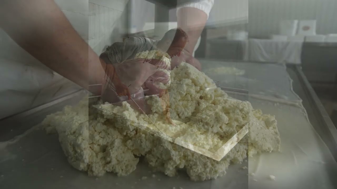 МЛЕКО 2022: Како да го „биеме“ млекото?