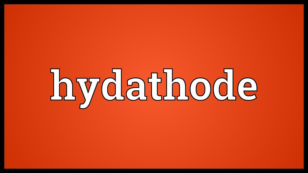 Hydathode Meaning - YouTube