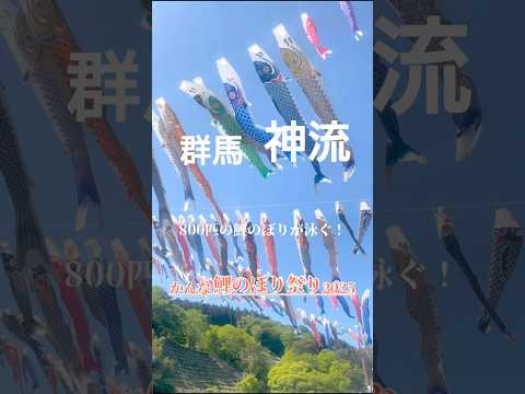 優雅に空を泳ぐ800匹の鯉のぼり かんな鯉のぼり祭り2025 #shorts #Shorts #鯉のぼり #鯉のぼり祭り #群馬県 #神流町
