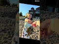 The fish is not dead