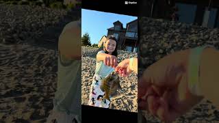 The fish is not dead
