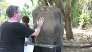 Piano for Elephants in Thailand (video diary)