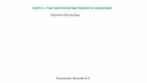 vegetative Morphology ( lesson 3 )  class 11 th part 1 & 2