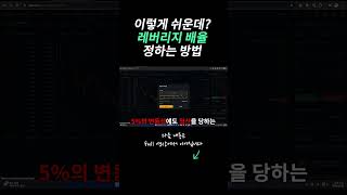 초보도 바로 이해하는 초간단 레버리지 배율 선택법