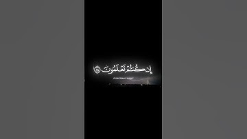 سورة المؤمنون | ياسر الدوسري    #quran #ياسر_الدوسري