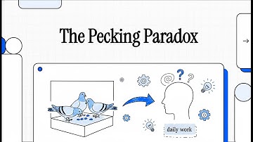 The Pecking Paradox (Rachlin & Baum, 1969)