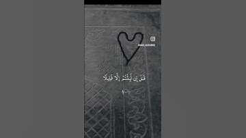 تلاوة خاشعة للشيخ سعد الغامدي
