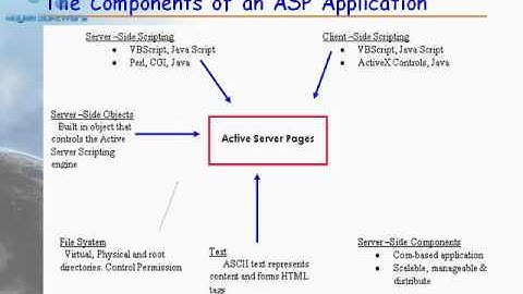 How to Program in ASP.Net