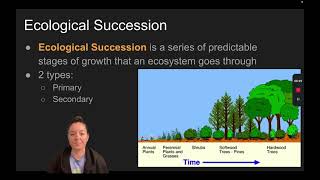 Ecological Succession: Primary Succession