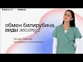 Обмен билирубина, патофизиология желтух | Патофизиология | Медвуза