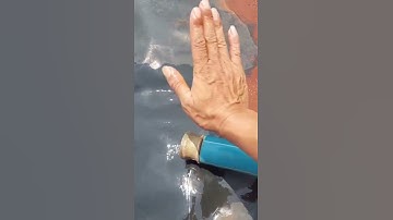 Unlock Precision Control with Our OEM VFD!