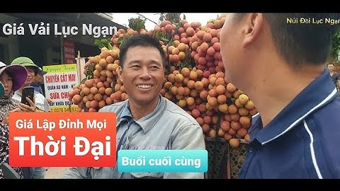 GIÁ VẢI LỤC NGẠN LẬP ĐỈNH MỌI THỜI ĐẠI I NÚI ĐỒI LỤC NGẠN