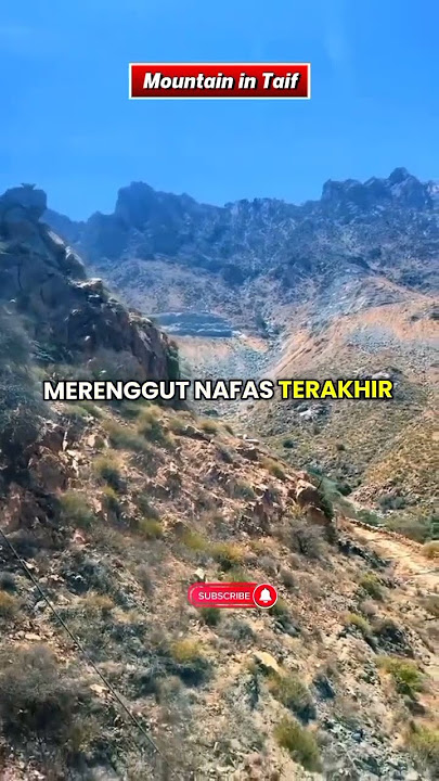 story of the day #story #storywa #selfimprovement #viralvideo #quotes #youtubeshorts #shorts #views