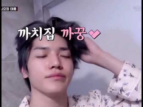 이태용 완전 아기 들튀하고 싶다 총총