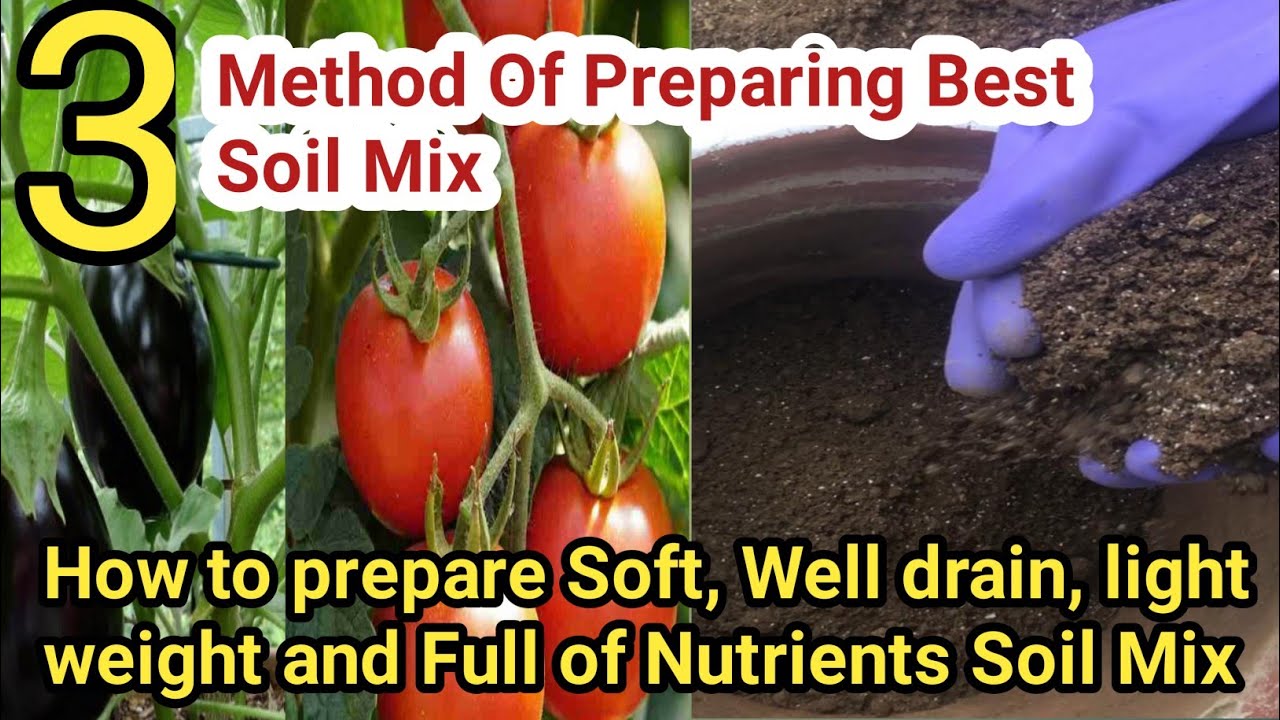 Best Soil Mix for Vegetable Garden|3 Easy Ways to Prepare Soil Mix for ...