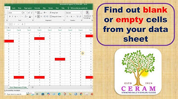 How to Find Out Blank Cells in Excel Using Conditional Formatting  Quick Tutorial
