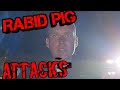 Cops Blind Him With Lights, He Points A Light Back And Gets Attacked