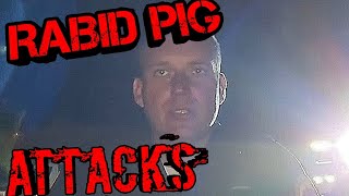 Cops Blind Him With Lights, He Points A Light Back And Gets Attacked