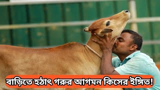 বাড়িতে হঠাৎ গরুর আগমন কিসের ইঙ্গিত! Astrology in bengali | Moli Motivation