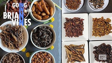 Eat a Bug, Save the Planet | Going In With Brian Vines | Ep 505
