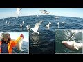 БЕШЕННЫЙ КЛЕВ КРУПНОЙ ТРЕСКИ / RABID BITING OF LARGE COD