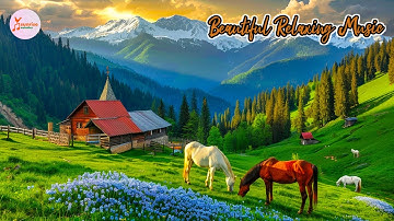 Romantic Rhumba & Cha Cha 🎶 All-Time Best Instrumental Music & Stunning Nature Views
