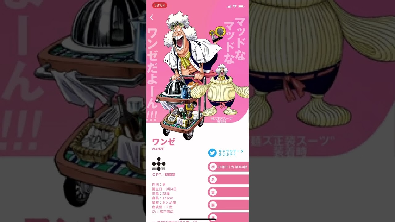 ワンピース コレクション ワンゼ Cp7 格闘家 お料理格闘家 Youtube