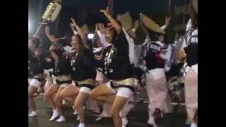 20130815阿波踊り（徳島）【藍響連】Vol.3