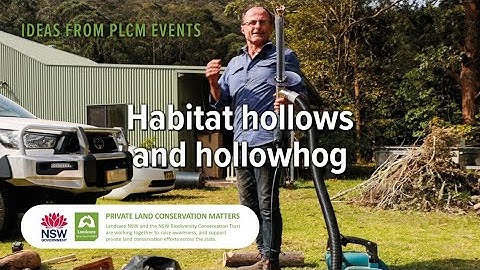 Habitat Hollows and Hollowhog