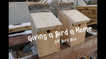 How To Make a Birdbox using RSPB Plans. DIY